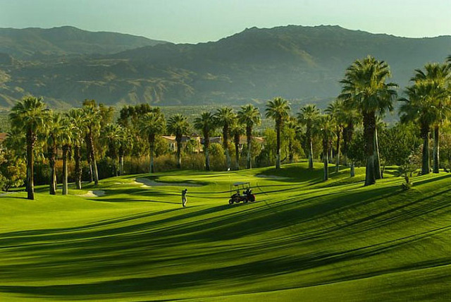 JW Marriott Desert Springs Resort and Spa - fairway