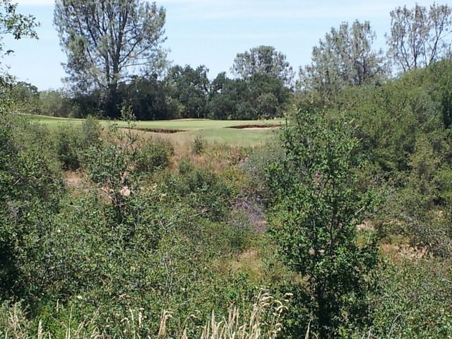 Castle Oaks Golf Course - 16th