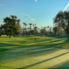 A view of a green at Desert Horizons Country Club.