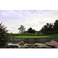 Here's a view of the 15th green at Twin Oaks Golf Course from across the lake.