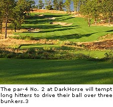 DarkHorse Golf Club